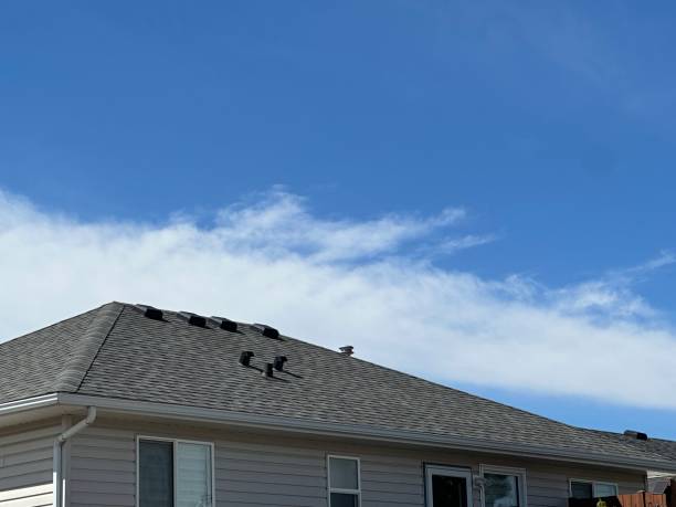 Best Roof Maintenance and Cleaning  in Sansom Park, TX